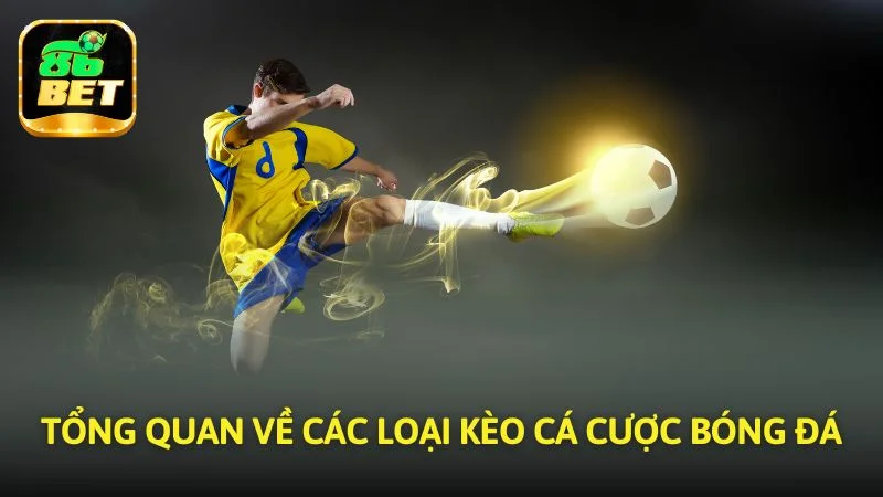 Tổng quan về các loại kèo cá cược bóng đá